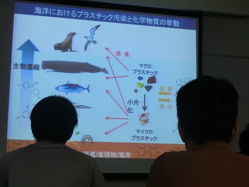 4_プラスチック汚染と化学物質挙動.jpg