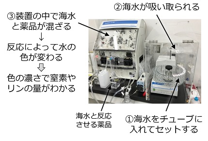 20190102_tanakas_11.jpg